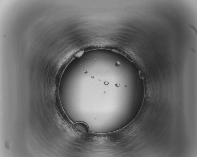 X0000102250440200808011314