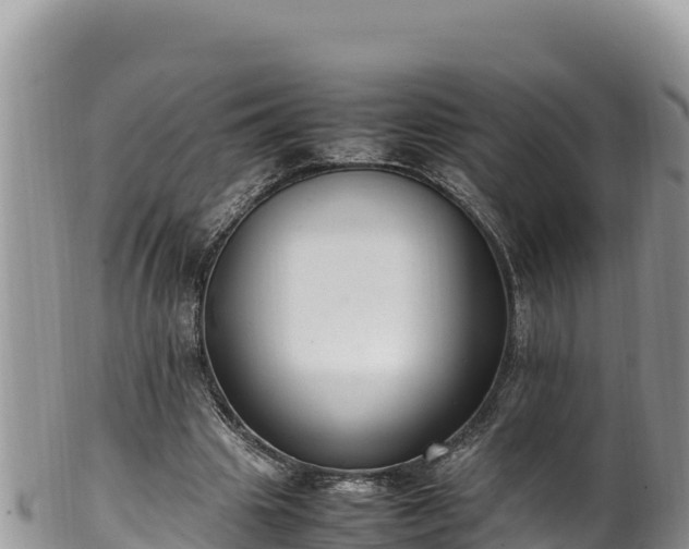 X0000102250441200808011314