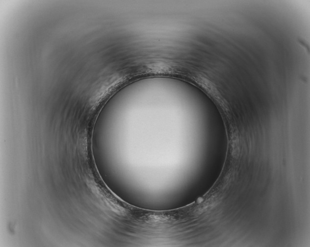 X0000102250442200808011314