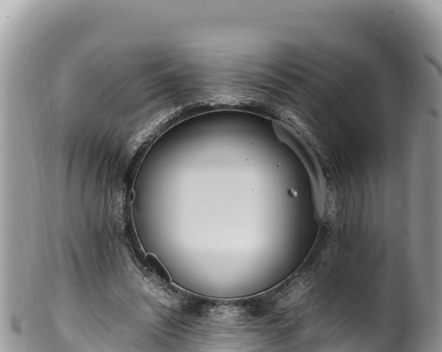 X0000102250444200808011314