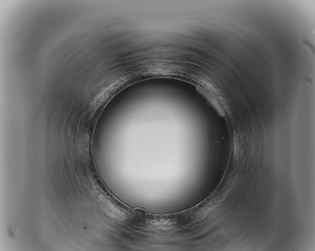 X0000102250445200808011314