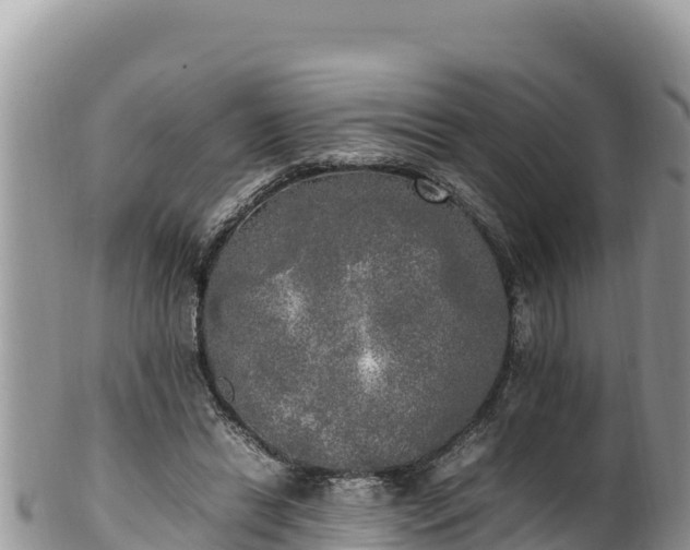 X0000102250446200808011314