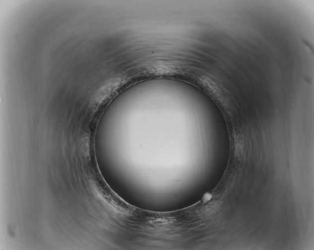 X0000102250447200808011314