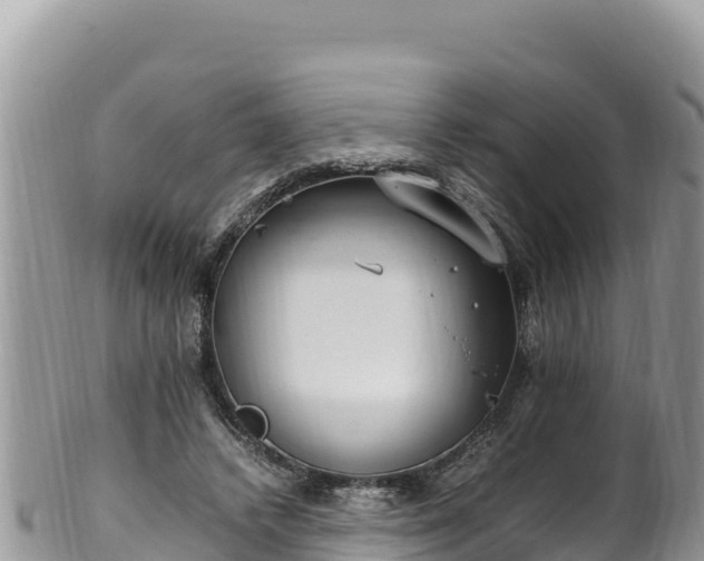 X0000102250448200808011314