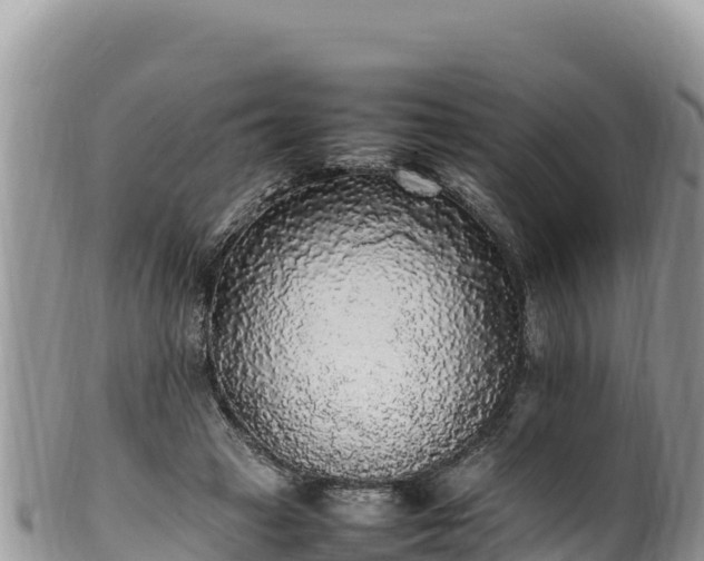 X0000102250449200808011314