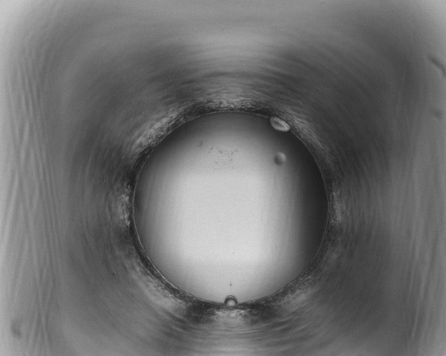 X0000102250450200808011314