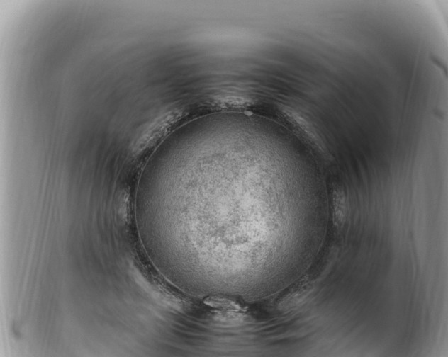 X0000102250451200808011314