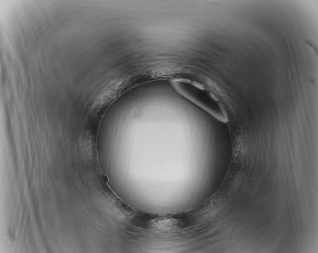 X0000102250452200808011314