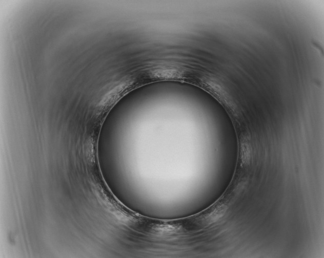 X0000102250453200808011314