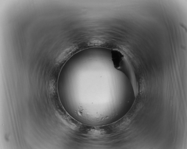 X0000102250455200808011314