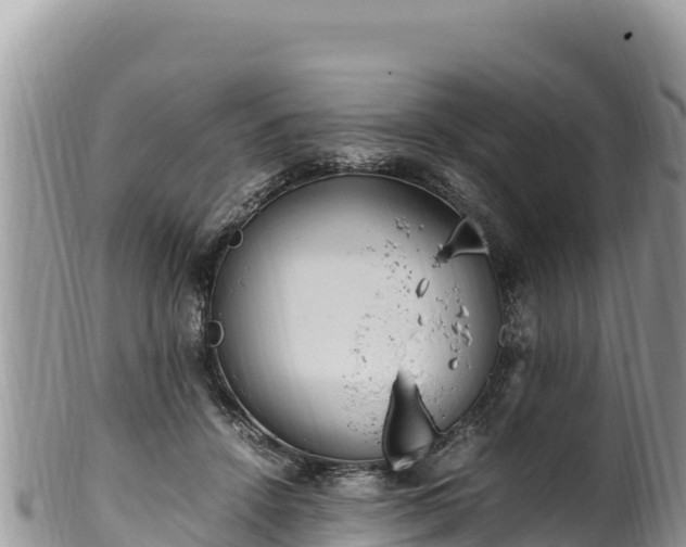 X0000102250456200808011314