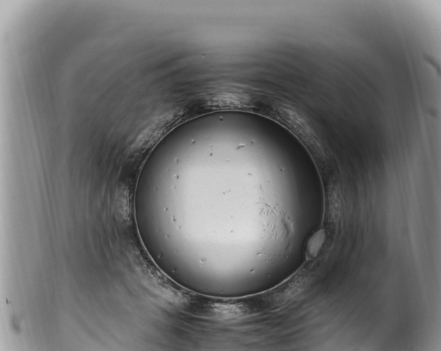 X0000102250457200808011314