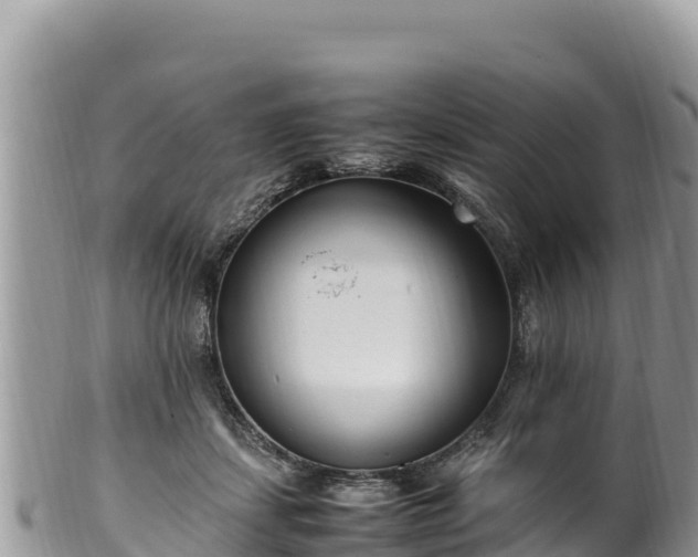 X0000102250459200808011314