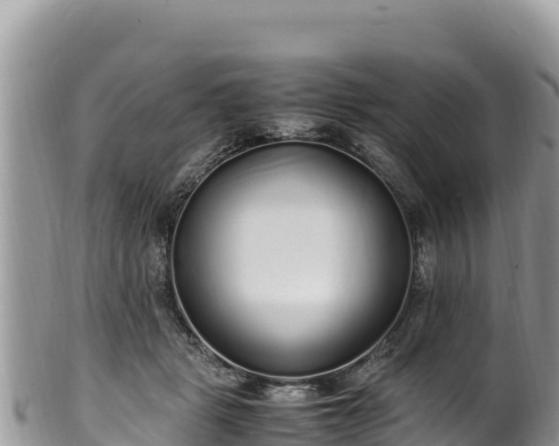 X0000102250461200808011315