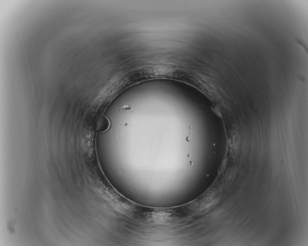 X0000102250462200808011315