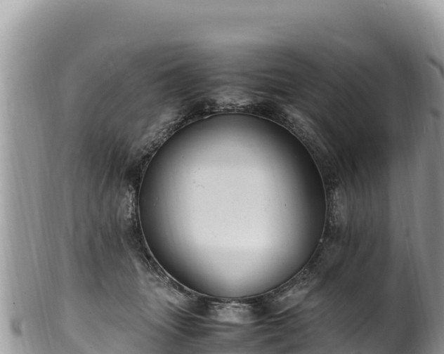 X0000102250463200808011315