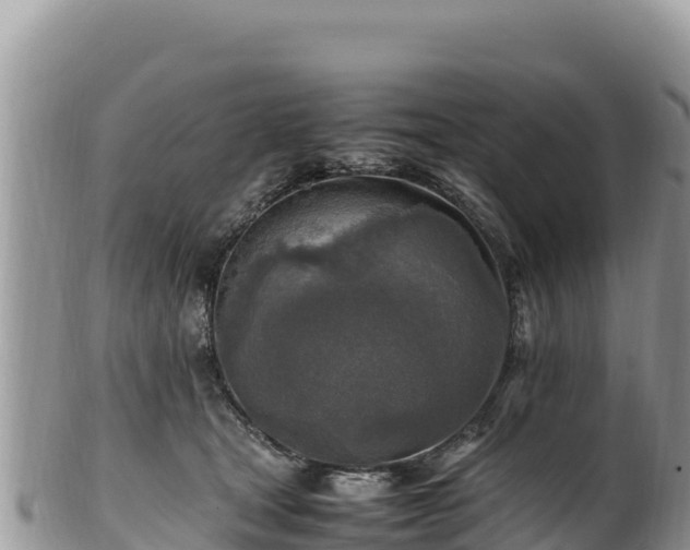 X0000102250465200808011315