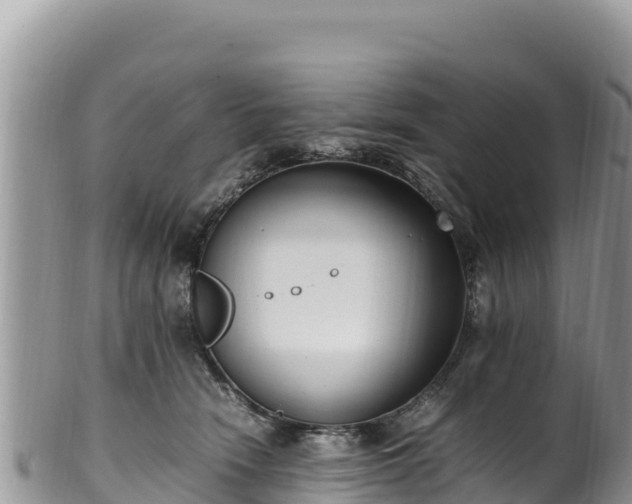 X0000102250466200808011315