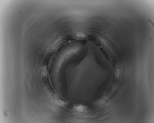 X0000102250467200808011315