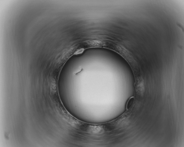 X0000102250469200808011315