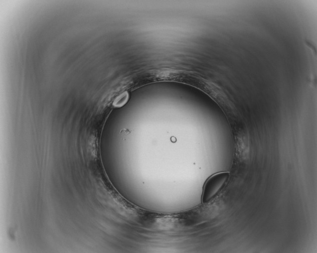 X0000102250470200808011315