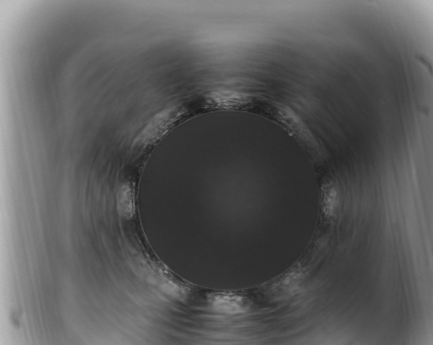 X0000102250471200808011315