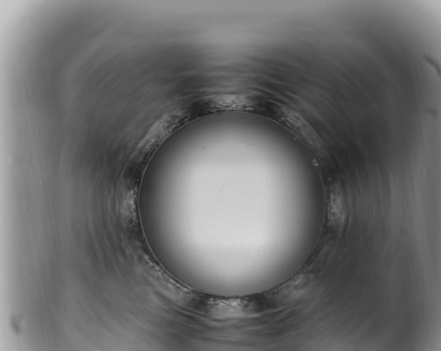 X0000102250473200808011315