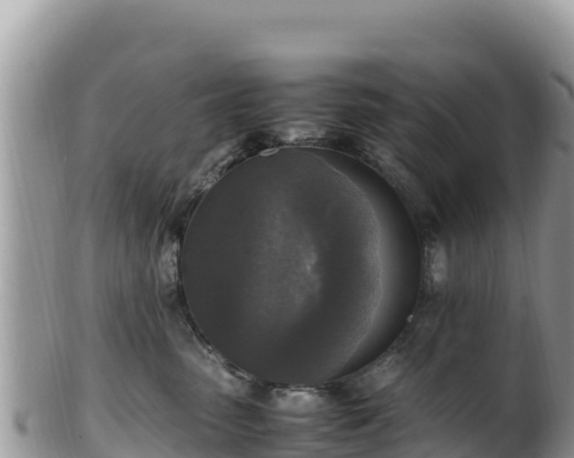 X0000102250475200808011315