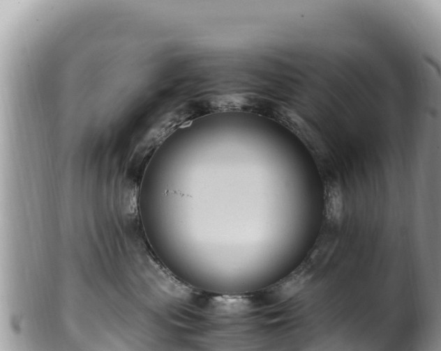 X0000102250477200808011315