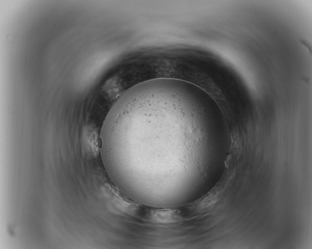 X0000102250479200808011315