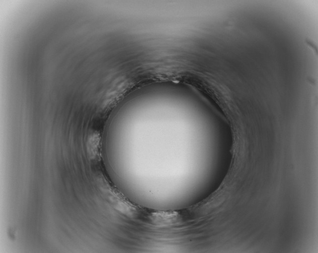 X0000102250480200808011315