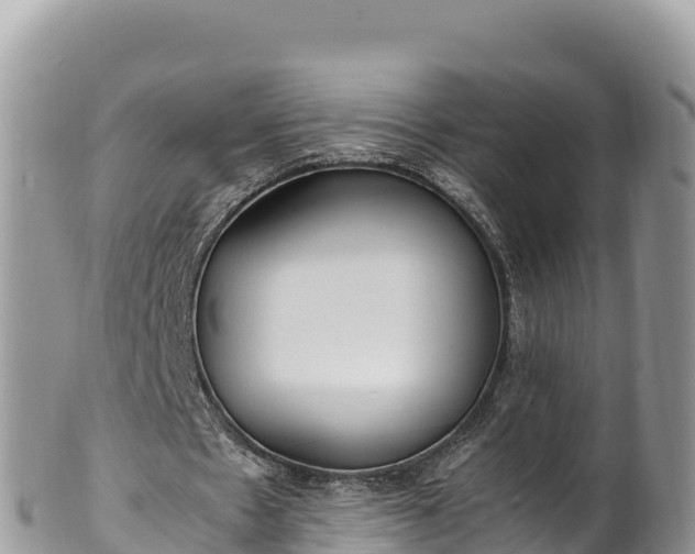 X0000102250481200808011314