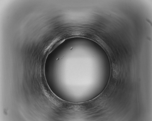 X0000102250482200808011314