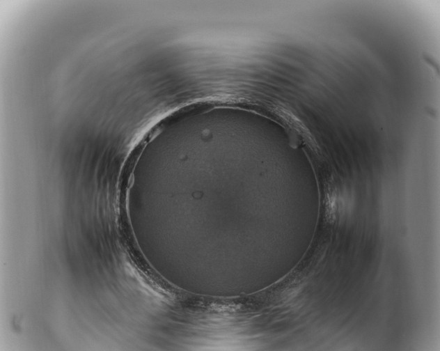 X0000102250484200808011314