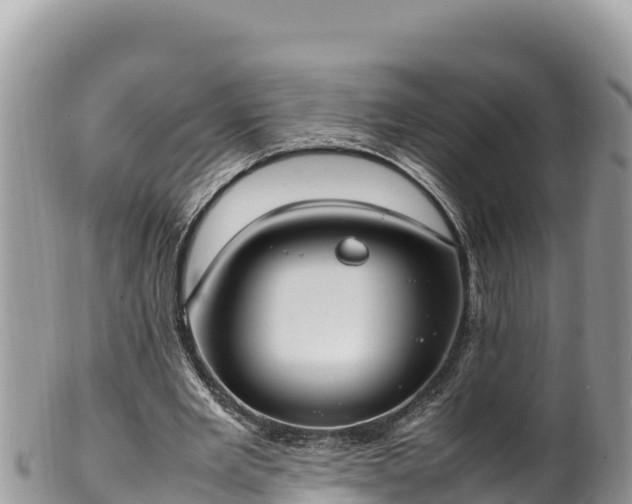 X0000102250485200808011314