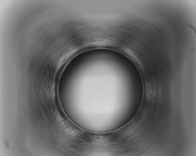 X0000102250486200808011314