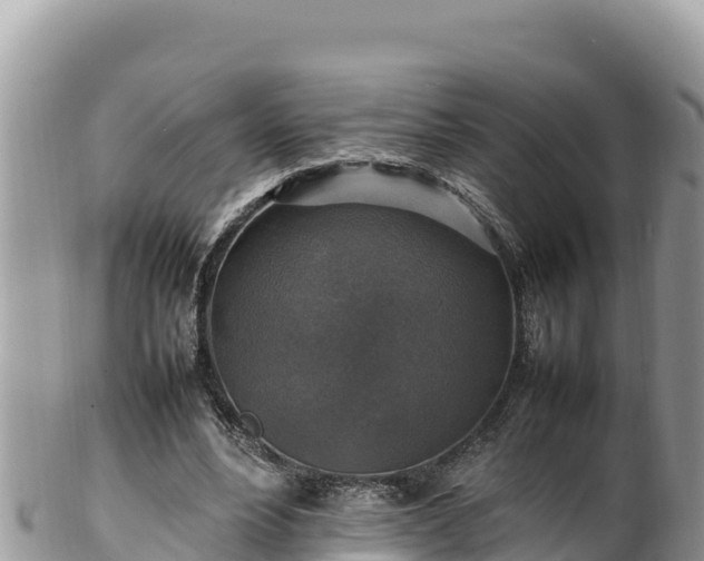 X0000102250488200808011314