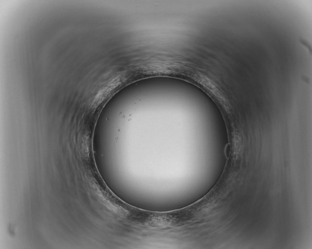 X0000102250489200808011314