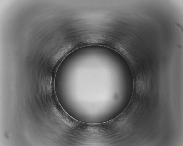 X0000102250490200808011314