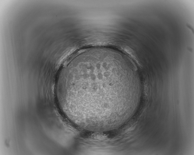 X0000102250491200808011314