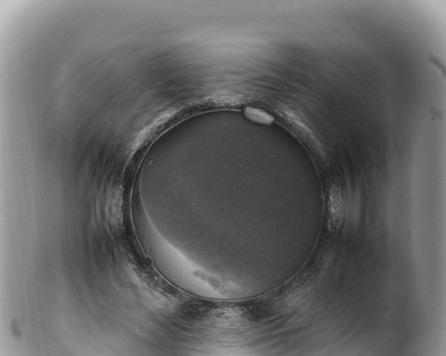 X0000102250492200808011314