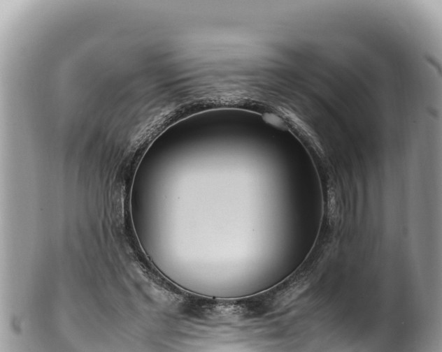 X0000102250493200808011314