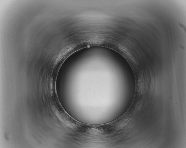 X0000102250494200808011314