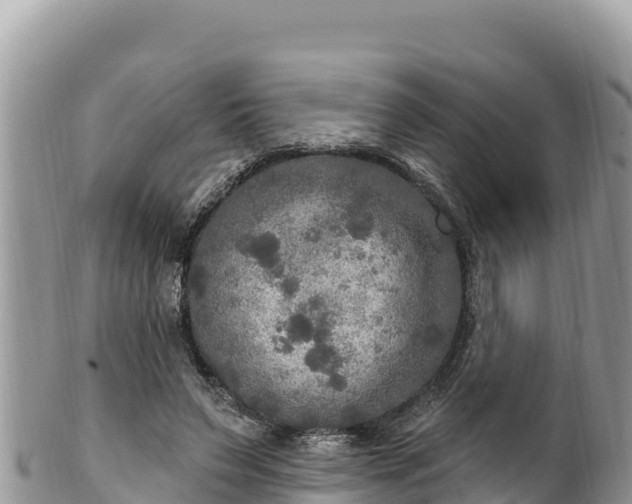 X0000102250495200808011314