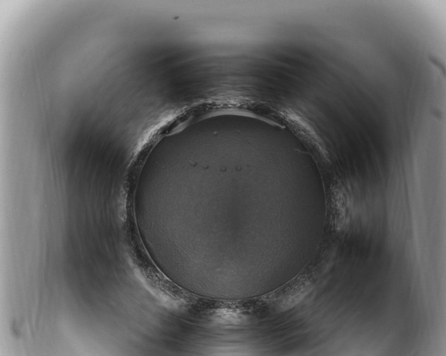 X0000102250496200808011314