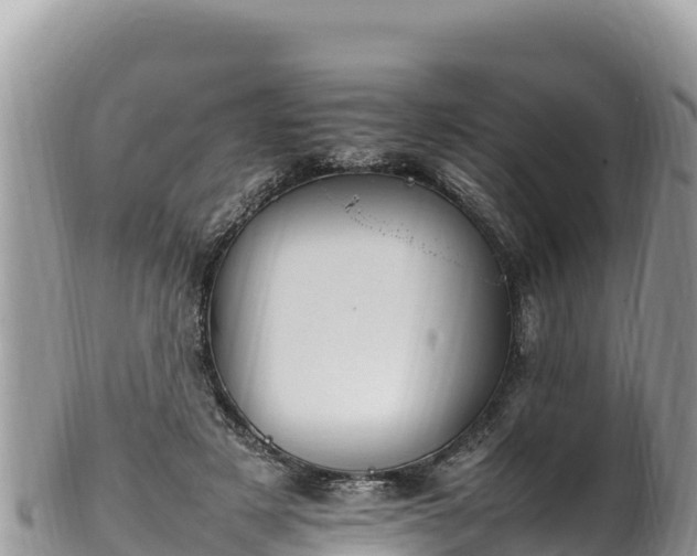 X0000102250497200808011314