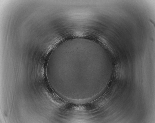 X0000102250500200808011314