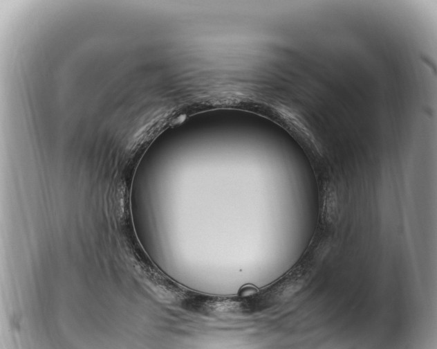 X0000102250501200808011314