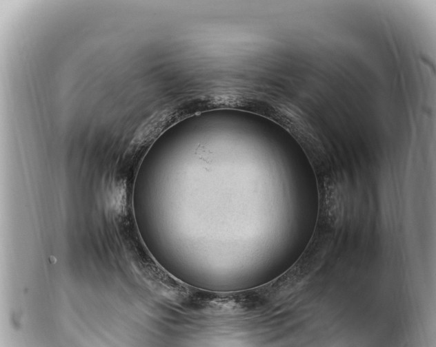 X0000102250502200808011314