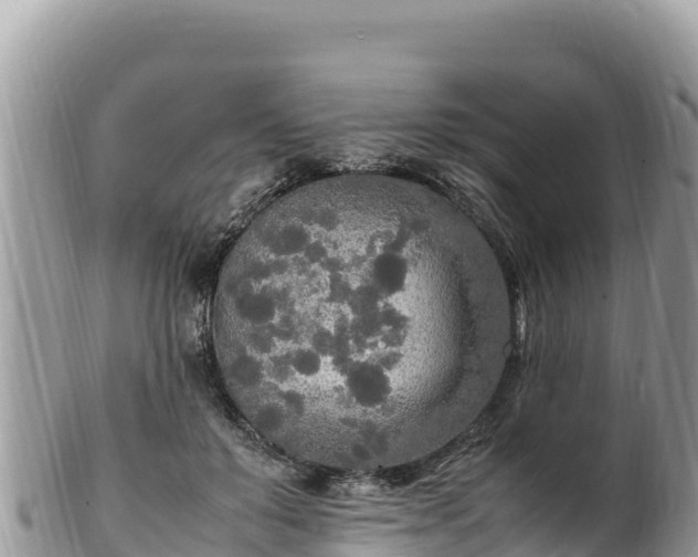 X0000102250503200808011314